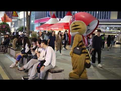 JHKTV] 신촌 명물고양이 밤의 탱고 shin chon special cat <strong>Tango</strong> de la Noche (<strong>Tango</strong> of the Night)