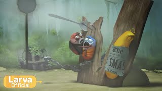target animation compilation larva tuba official