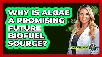 Why Is Algae A Promising Future Biofuel Source? - Earth Science Answers