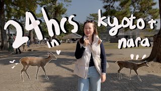 24 HR IN NARA And KYOTO| Nara deer, Cold Udon, Market Shopping and Autumn leaves 🍁