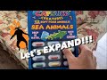 How much will these SEA ANIMAL CAPSULES EXPAND ??