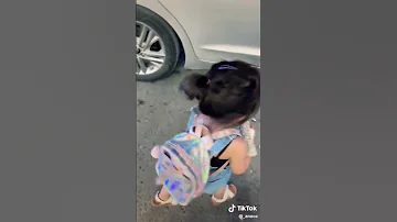 إيليا تقشمرنا حتى تروح ويا جدها يوميات جنيد وعنوز 
