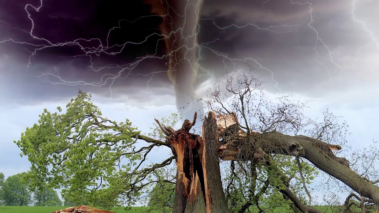 Rain, Wind and Thunder Sound for Deep Sleep, Focus and Productivity ...