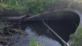Fishing After A Big Rain Fall Had These Fish Going Crazy!