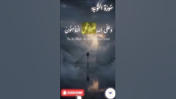 اكتب شيء تؤجر عليه 🤍 🤲🏻 #quran #اسلام #قرآن #راحة_نفسية #سورة_التوبة
