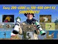 Sony 200-600G vs Sony 100-400GM+1.4x SHOOTOUT!! Which is better?