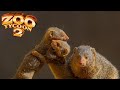 Dwarf Mongoose Exhibit Speed Build - Zoo Tycoon 2