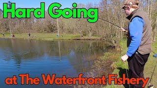 Fly Fishing at The Waterfront Fishery Mid April