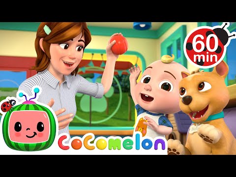 Please and Thank You Song - Pet Version! + MORE CoComelon Nursery Rhymes \u0026 Kids Songs