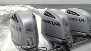 Honda BF250 Outboard Engine 250 hp boat motor Hua Hin Sea Discovery