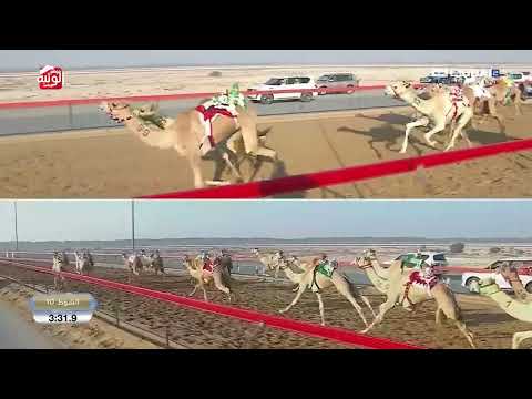 الشوط 10 غاره ل نواف مهراس جابر الجدي الهاجري 5 59 4 تمهيدي المرموم 2025 10 25 لقايا