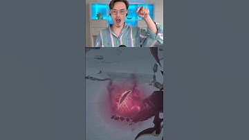 The mystery of a Dragoon