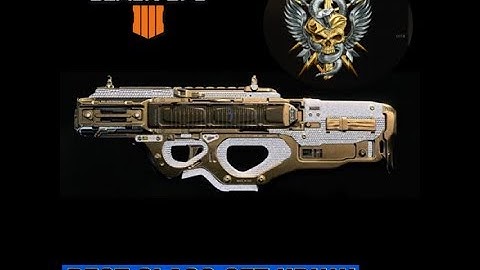 BEST CORDITE CLASS SET UP!!! (Call of Duty BO4)