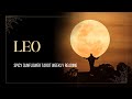 Leo//Weekly Tarot Readings//Feb 2026//Spicy Sunflower Tarot