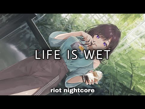 Camo - Life is wet (Lyrics)