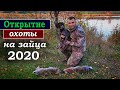 Открытие охоты на зайца 2020