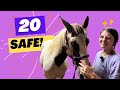 20 Horses Saved!