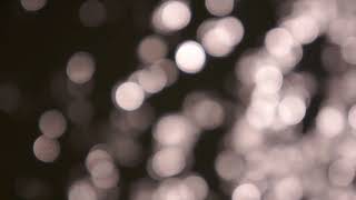 Royalty Free Sun Reflection On Water Video Footage