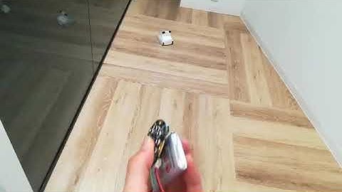 HaloCode controls CodeyRocky with WiFi and Bluetooth