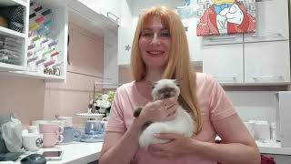 картинка: ♥♥ хочу вас кое с кем познакомить ♥♥
