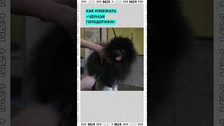 Как ИЗБЕЖАТЬ &quot;чёрной передержки&quot;
