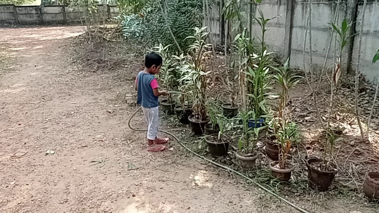 anasu kutti 🥰watering plants