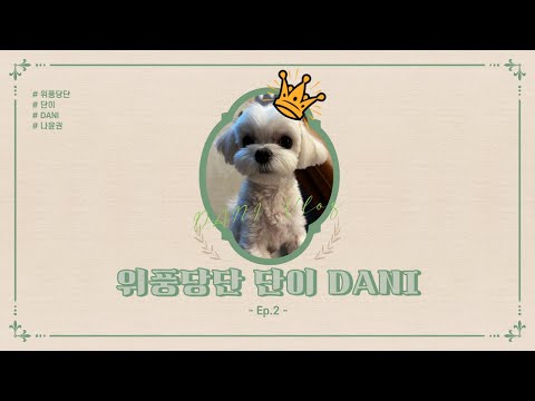 [위풍당단 단이] BABY 단이 #1