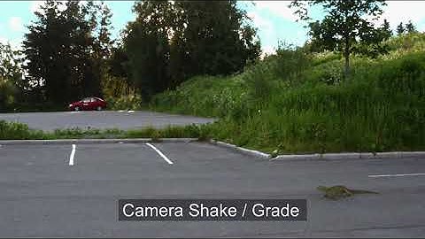 Lizard Animation: VFX Breakdown | AIE