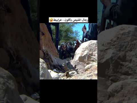 رجال اغليص ياكلون عرابيط فلاح ليه ماغزيت اغليص راس اغليص