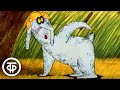 Зайца не видали Мультфильм 1985