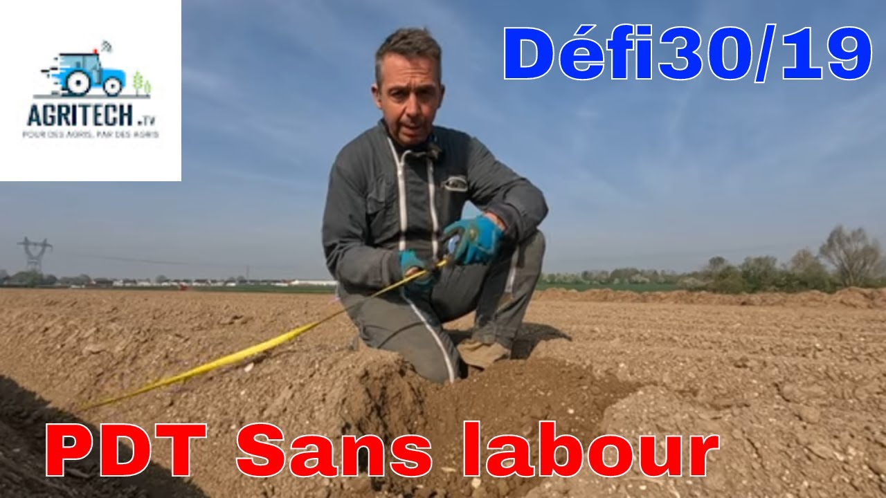 Plantation de PDT sans labour