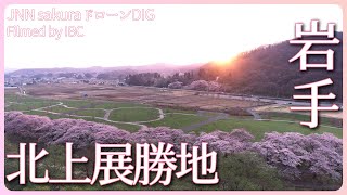 北上展勝地 満開の桜【JNN sakuraドローンDIG 2023】 - YouTube