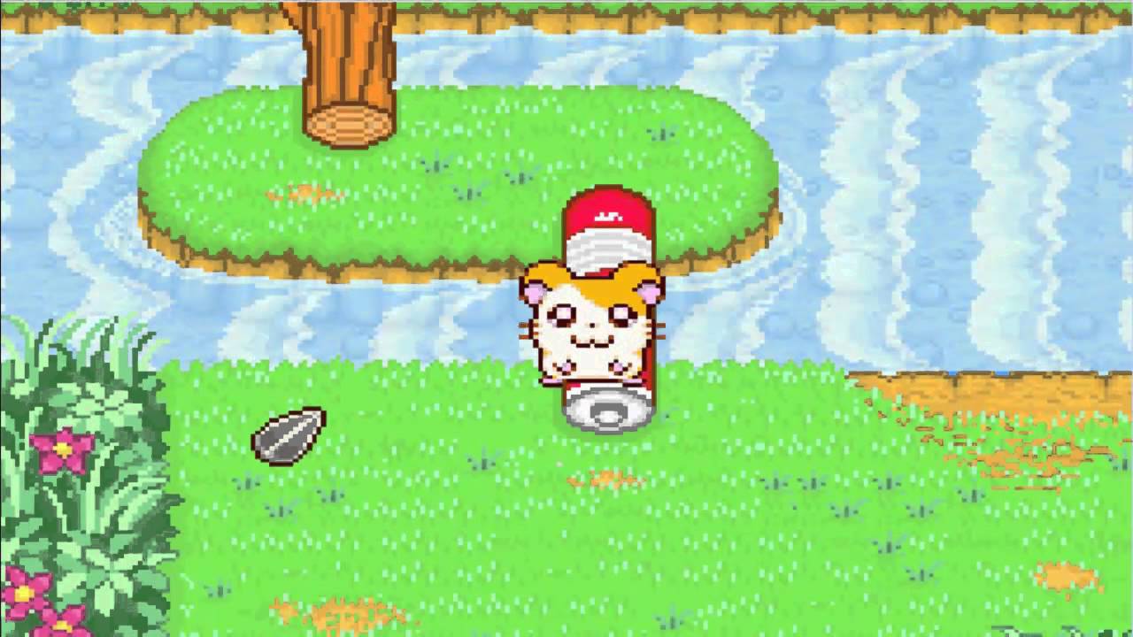 Let's Play Hamtaro: Ham-Ham Heartbreak pt. 2 (Euron131)