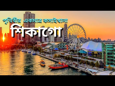 ভিডিও: শিকাগোর সেরা সৈকত