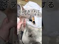 【靴の乾かし方３選】こんなやり方あったの！？#育児 #育児ハック #ライフハック #靴 #乾かし方