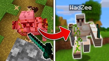 Minecraft, maar ik verander in ELKE Mob die ik dood