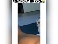 Чемпионат по КУСЬ от Котиков