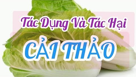Cải Thảo/Tác Dụng Và Tác Hại || @thiennhiencanh5295