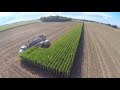 Chopping Corn Silage in Berne Indiana at Next Generations Dairy - September 2017