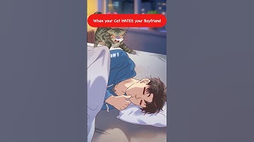 When your Cat HATES your Boyfriend😂