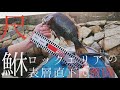 【前編】ロックエリアで尺メバルを釣り上げる。表層直下の激闘メバリング!