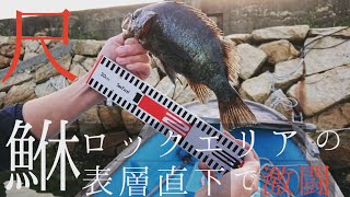 【前編】ロックエリアで尺メバルを釣り上げる。表層直下の激闘メバリング!