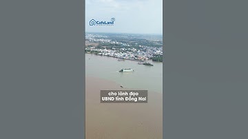 Đề xuất XÂY HẦM VƯỢT SÔNG thay cầu Cát Lái để kết nối TP.HCM với Đồng Nai | CafeLand #shorts