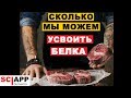 Сколько Белка Можно Усвоить За Один Прием Пищи? | Джефф Кавальер