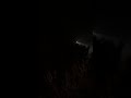 10-7-2018 Comet?