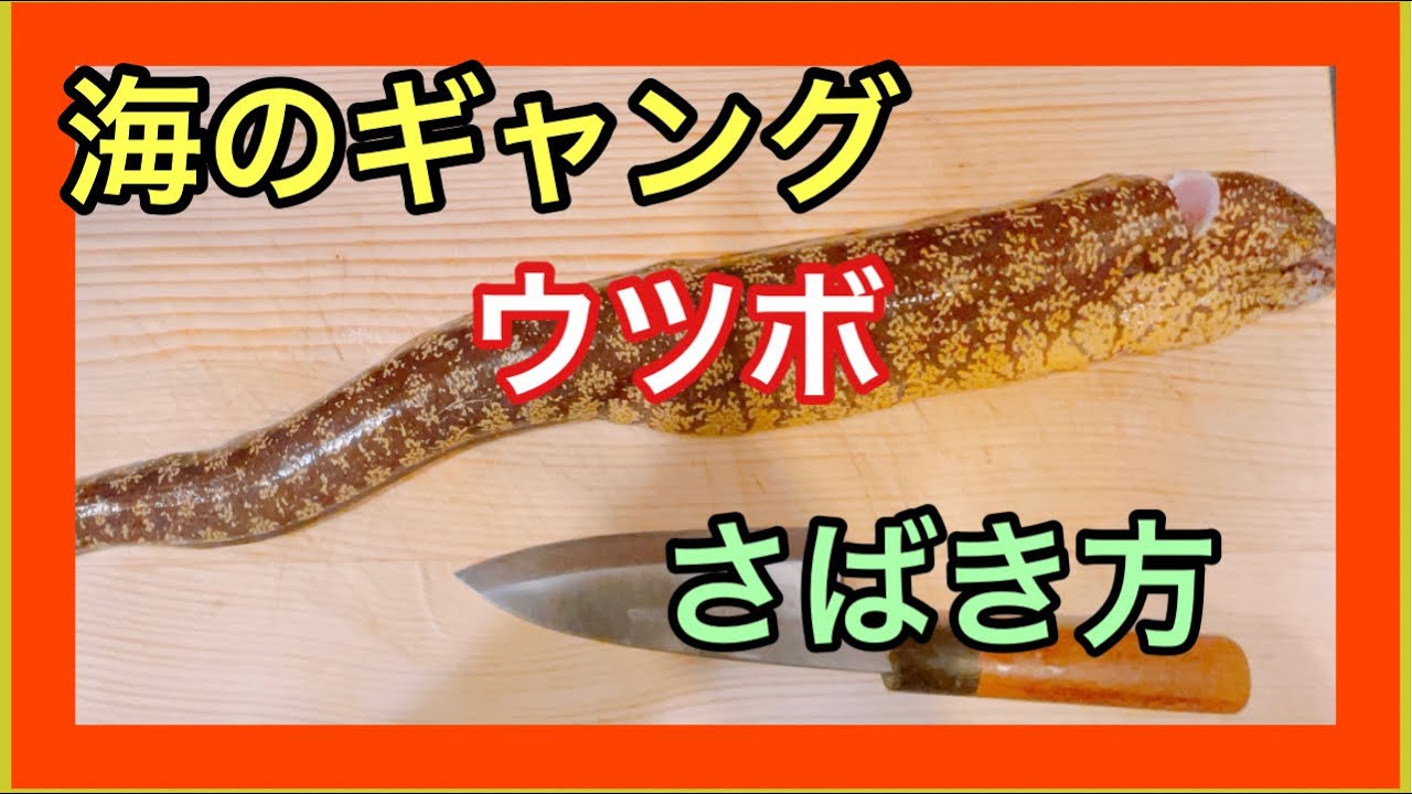 第21話 ウツボのさばき方 Youtube
