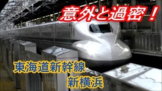 【意外と過密！】新横浜駅でN700系や700系を撮影