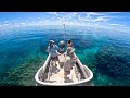 Great barrier reef fishing in 1 metre of water ep 3