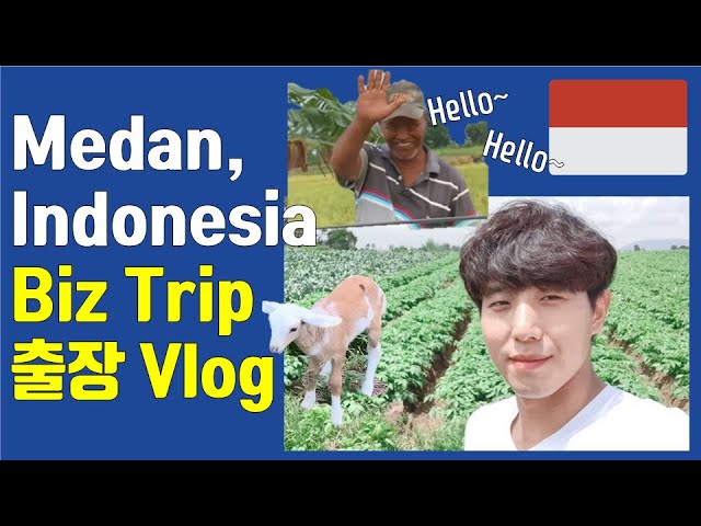 Korean guy business trip to Medan Indonesia