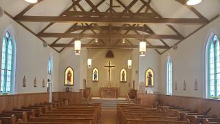 July 5, 2026 - 14th Sunday in Ordinary Time
